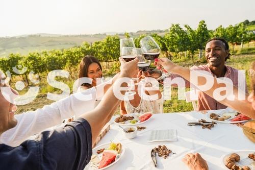 Happy Adult Friends Having Fun Drinking Red Wine And Eating Together With Vineyard In Background   Multiracial People Doing Appetizer At Summer Time In Countryside Resort   Main Focus On Hands