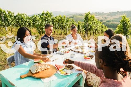 Happy Adult Friends Having Fun Drinking White Wine And Eating Together With Vineyard In Background   Multiracial People Doing Dinne At Summer Time In Countryside Resort   Main Focus On Blond Girl Face