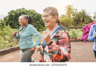 Fit Senior People Running At City Park   Group Of Elderly Friends Doing Sport Workout Together Outdoor   Main Focus On Center Mature Woman Face