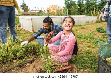 Indian Family Picking Up Organic Carrots From House Garden Outdoor   Vegetarian Healthy Food And Education Concept   Focus On Kid Face