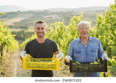 Multigenerational Workers Collecting Grapes For Oganic Wine Production   Tradition Farmer Lifestyle And Small Business Concept   Focus On Faces