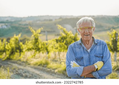 Senior Wine Producer Man Smiling In Front Of Camera With Vineyard In Background   Organic Farm And Small Business Concept   Focus On Face