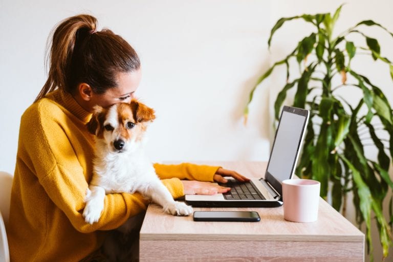 Work from Home - ScreenPal