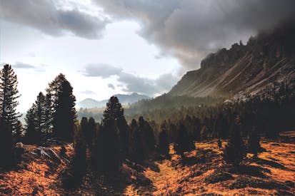 Silhouette Of Mountain Hill With Pine Trees Under White Cloud Blue Sky