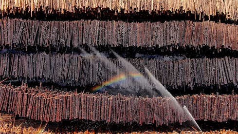 Sticks Hangiging To Dry