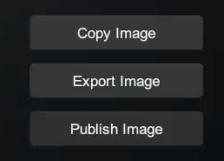 Copy, Export or Publish Screenshots